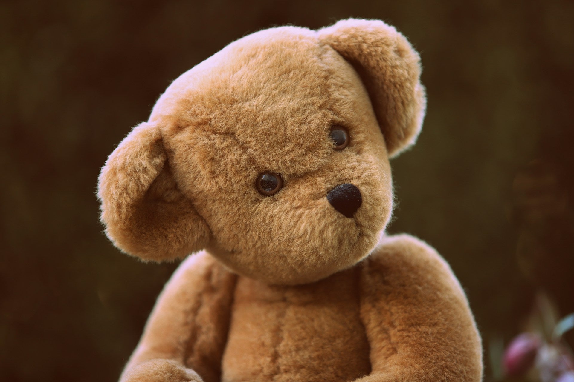Gave til 1 årig
