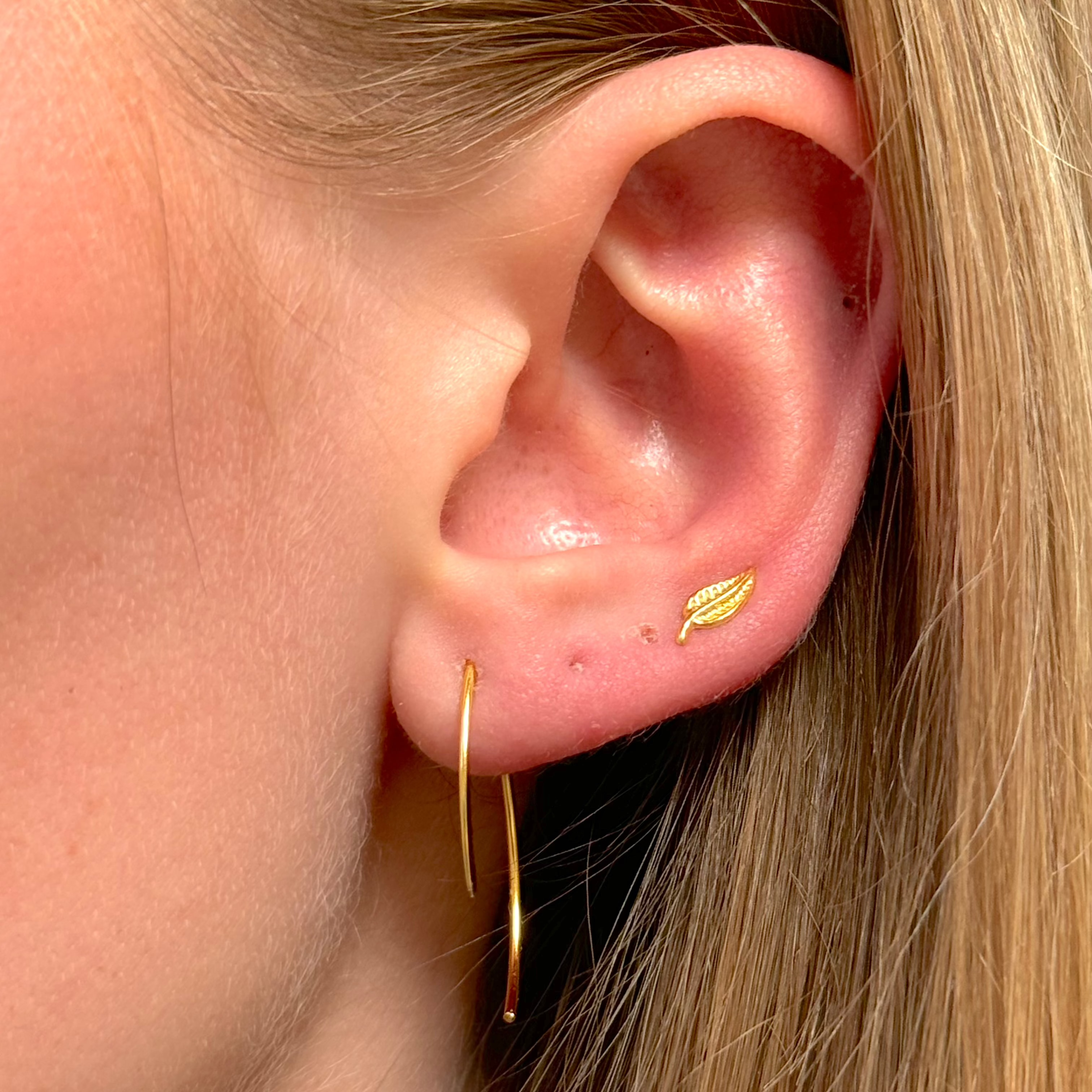 Leaf Stud Øreringe 14K Guldbelagt